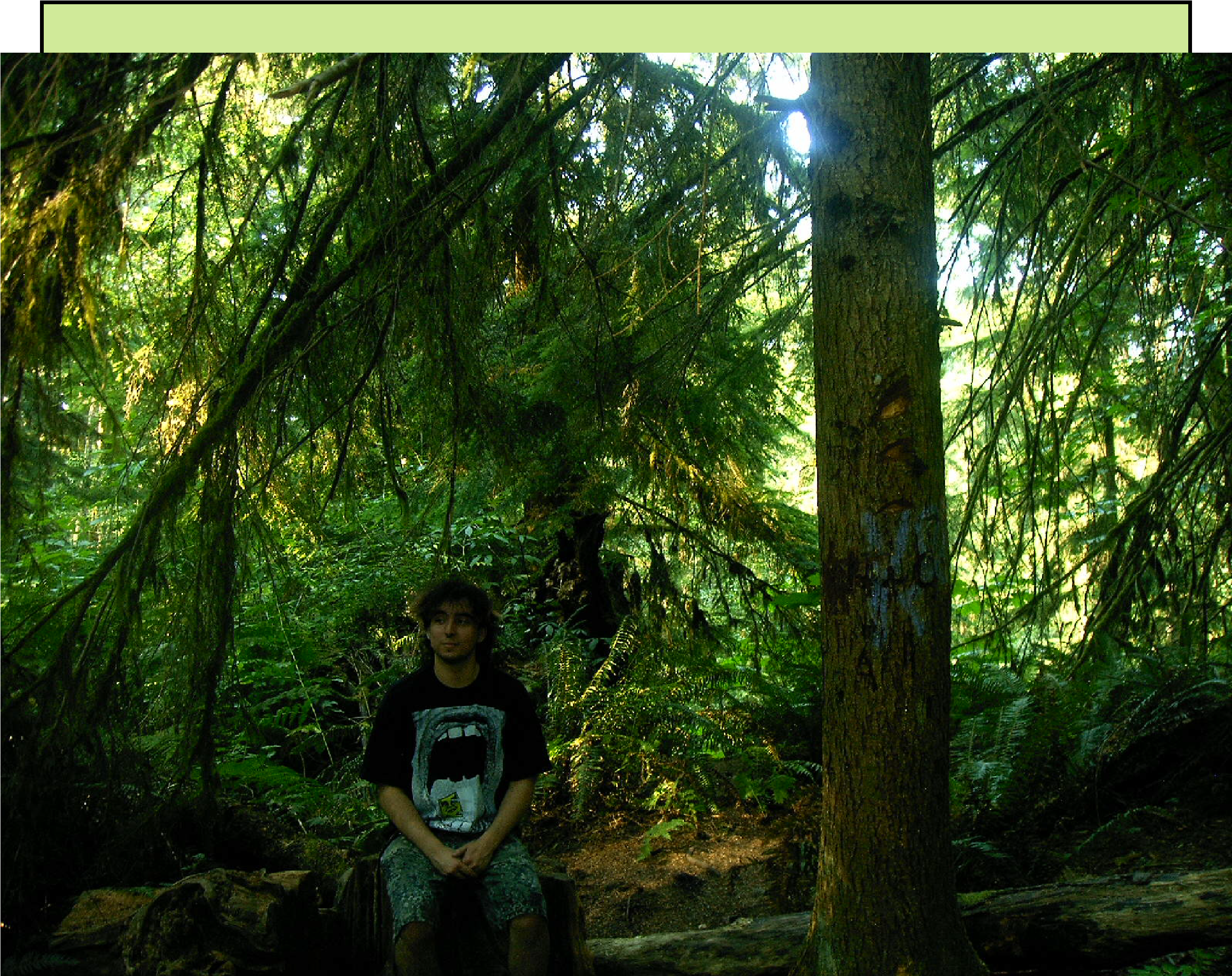 Me Stumped